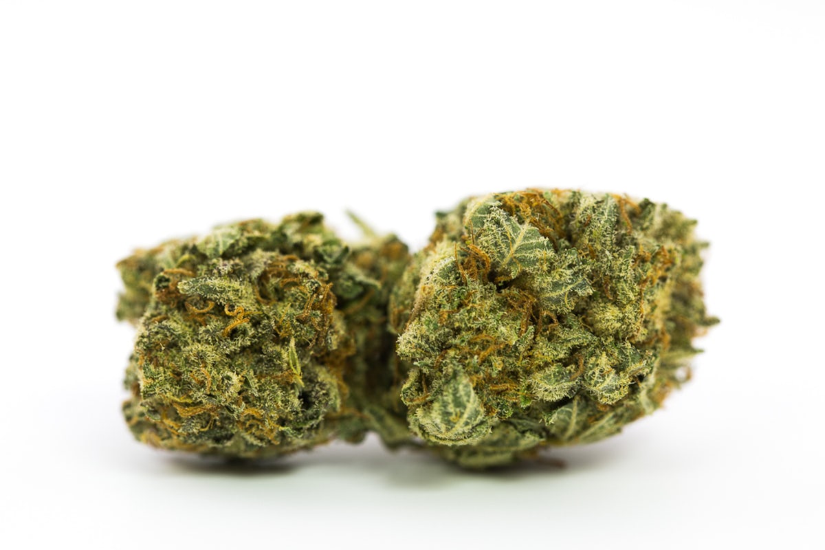 Chemdawg Strain Review. In-Depth Analysis: Shop Now